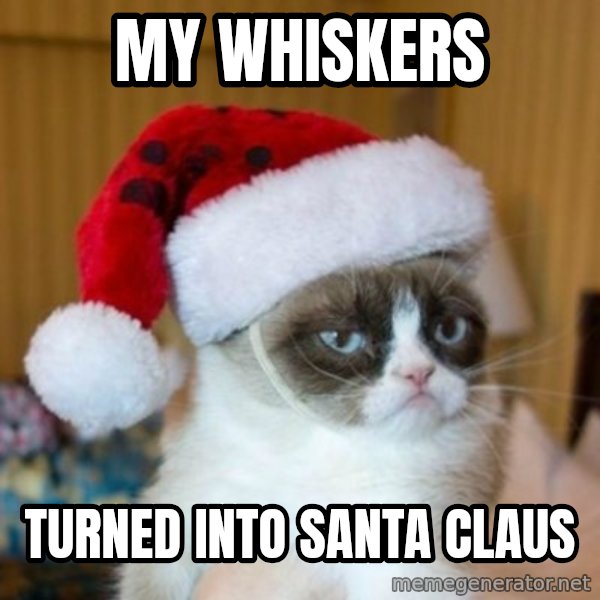 Grumpy Cat Santa Hat meme: My whiskers / turned into Santa Claus