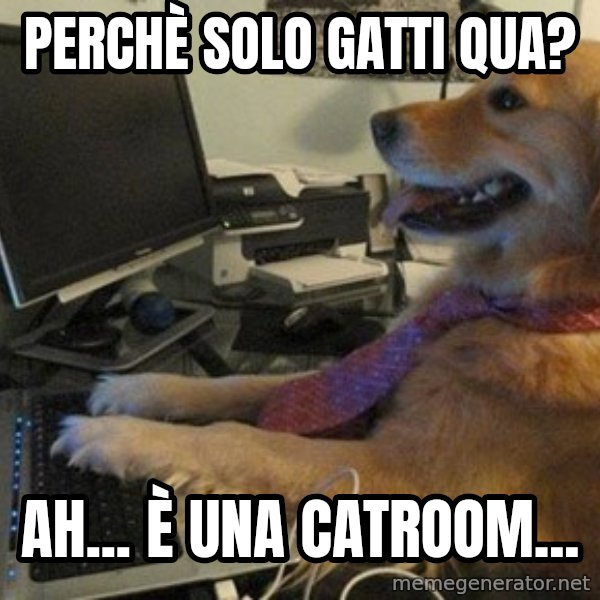 I have no idea what I'm doing - Dog with Tie meme: perchè solo gatti qua? / ah... è una catroom...