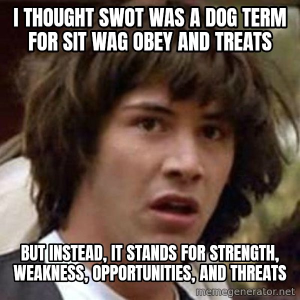 Conspiracy Keanu meme: I thought swot was a dog term for sit wag obey and treats / But instead, it stands for strength, weakness, opportunities, and threats