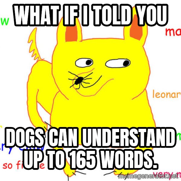 What If I Told You meme: What if I told you / dogs can understand up to 165 words.