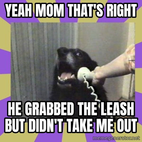 Yes, this is dog! meme: Yeah Mom that's right / he grabbed the leash but didn't take me out