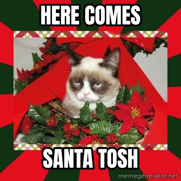 GRUMPY CAT ON CHRISTMAS meme: Here comes / Santa Tosh