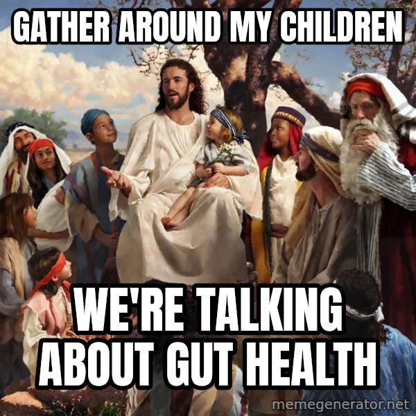 storytime jesus meme: gather around my children / we're talking about gut health