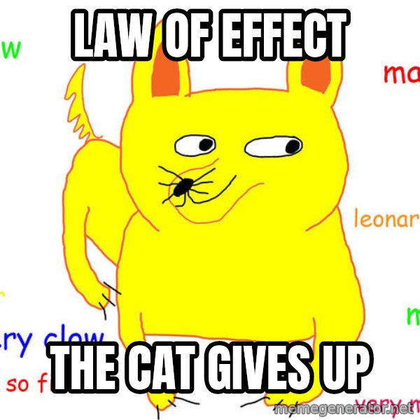 Grumpy Cat  meme: law of effect / the cat gives up