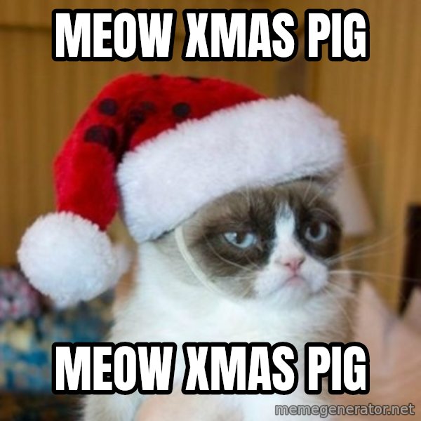 Grumpy Cat Santa Hat meme: Meow xmas pig / meow xmas pig