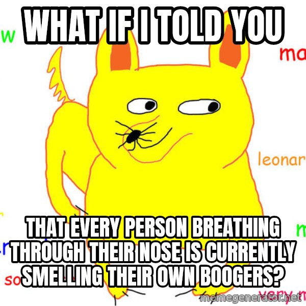 What If I Told You meme: What if I told you / That every person breathing through their nose is currently smelling their own boogers?