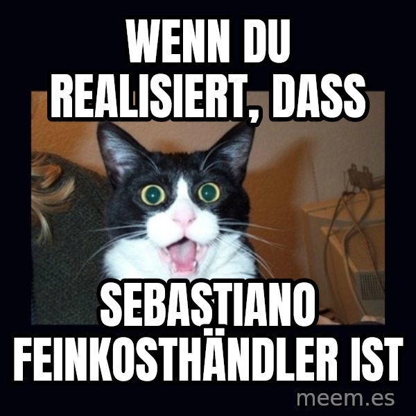 shocked cat meme: Wenn du realisiert, dass / Sebastiano Feinkosthändler ist
