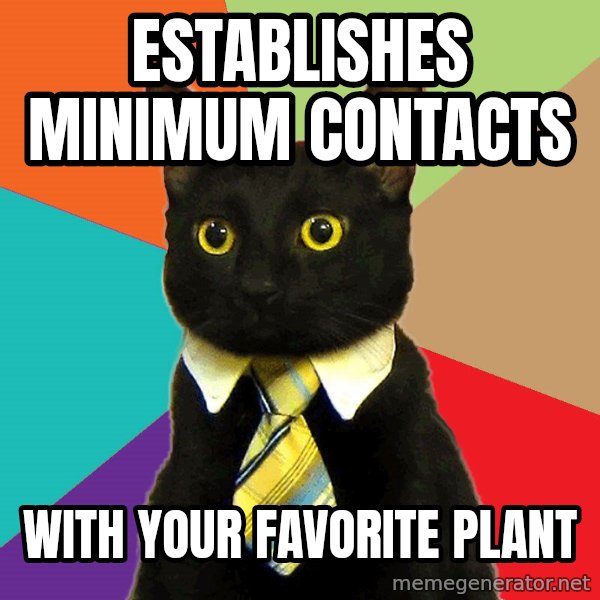 Business Cat meme: establishes minimum contacts / with your favorite plant