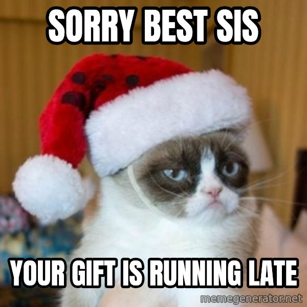 Grumpy Cat Santa Hat meme: Sorry best sis / Your gift is running late