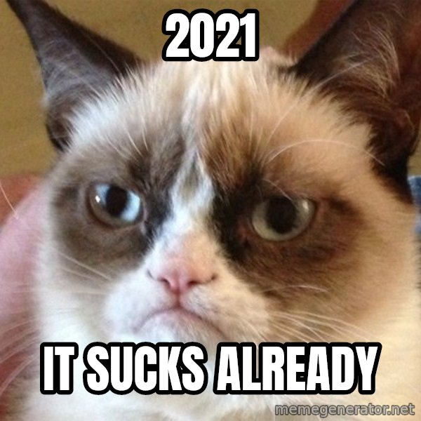Angry Cat Meme meme: 2021 / It Sucks already