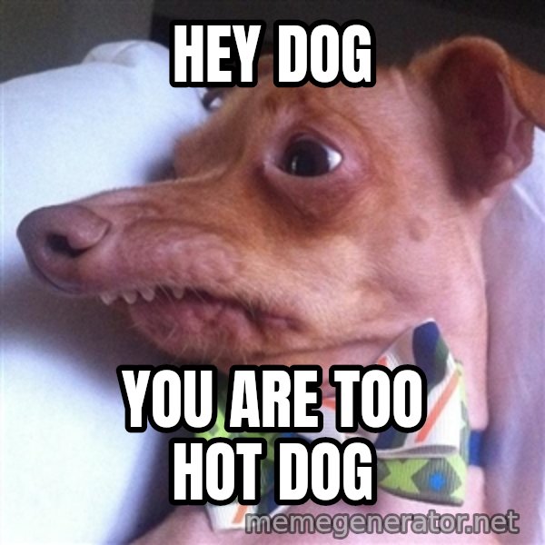 Tuna, the "Phteven" dog meme: hey dog / you are too hot dog