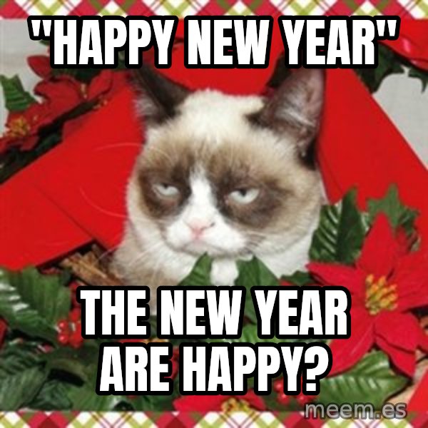 Grumpy Christmas Cat meme: "happy new year" / The new year are happy?
