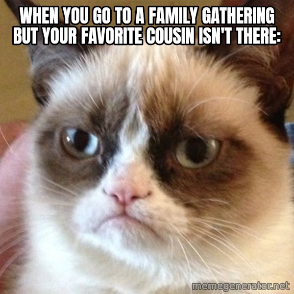 Angry Cat Meme meme: When you go to a family gathering but your favorite cousin isn't there: