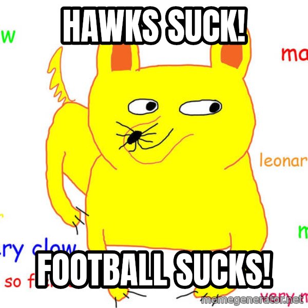 Grumpy Cat  meme: Hawks Suck! / Football Sucks!
