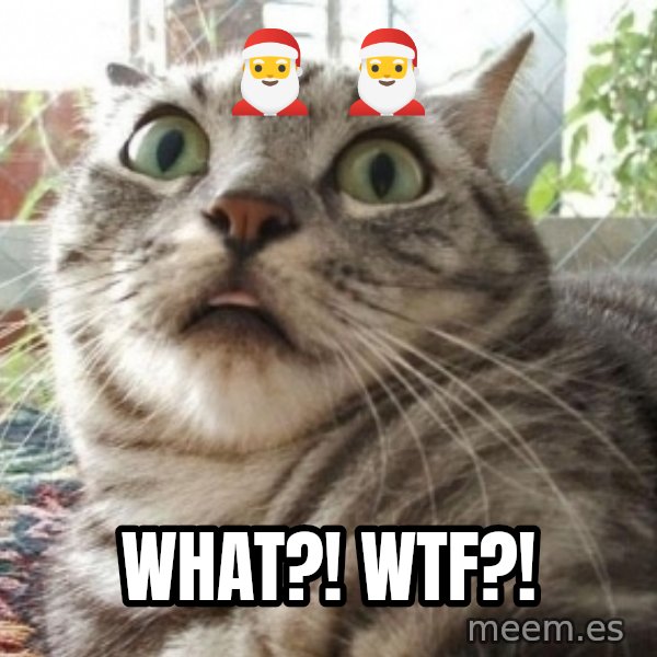 scared cat meme: 🎅   🎅 / What?! WTF?!