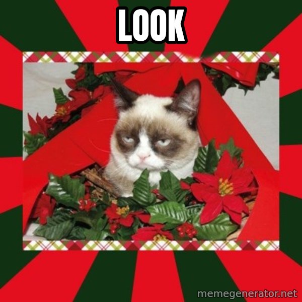 GRUMPY CAT ON CHRISTMAS meme: Look