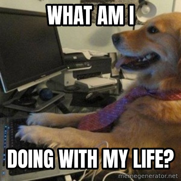 I have no idea what I'm doing - Dog with Tie meme: What am I / Doing with my life?