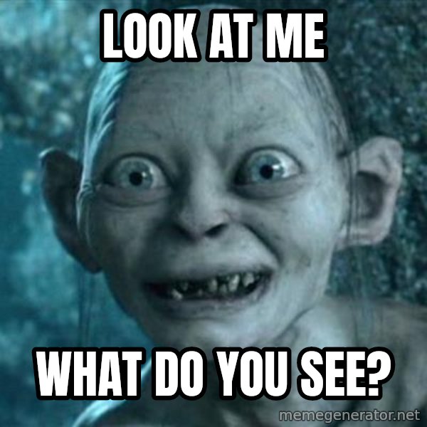 My Precious Gollum meme: Look at me / What do you see?