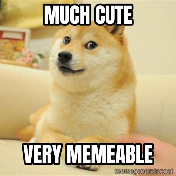 so doge meme: Much cute / Very memeable