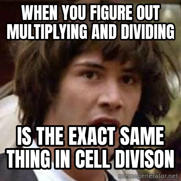 Conspiracy Keanu meme: When you figure out multiplying and dividing / Is the exact same thing in cell divison