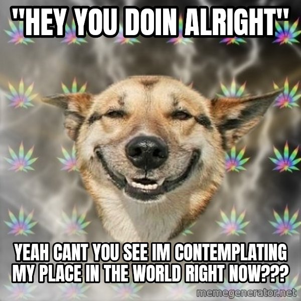 Stoner Dog meme: "hey you doin alright" / yeah cant you see im contemplating my place in the world right now???