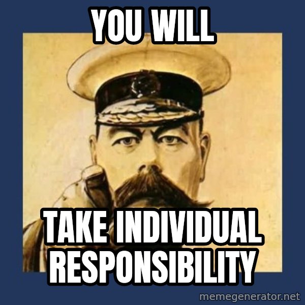 your country needs you meme: You will / Take individual responsibility