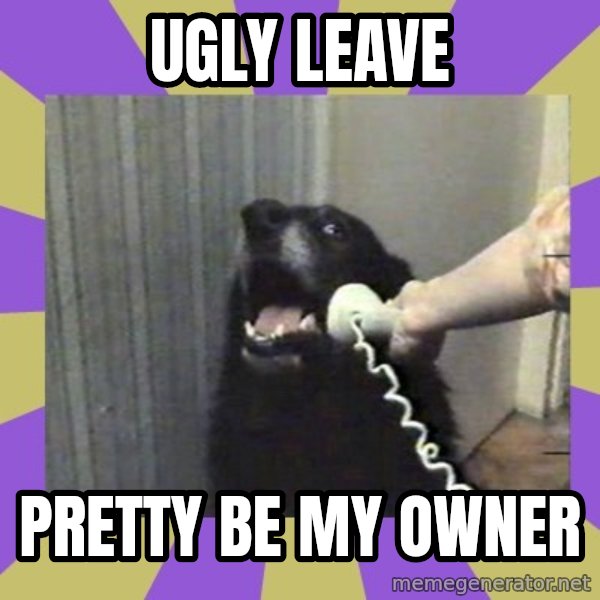 Yes, this is dog! meme: Ugly leave / Pretty be my owner
