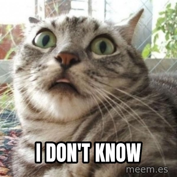 scared cat meme: I DON'T KNOW