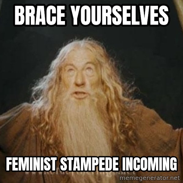You shall not pass meme: brace yourselves / feminist stampede incoming