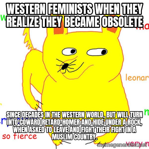Grumpy Cat  meme: western feminists when they realize they became obsolete / since decades in the western world, but will turn into coward retard-homer and hide under a rock, when asked to leave and fight their fight in a muslim country.