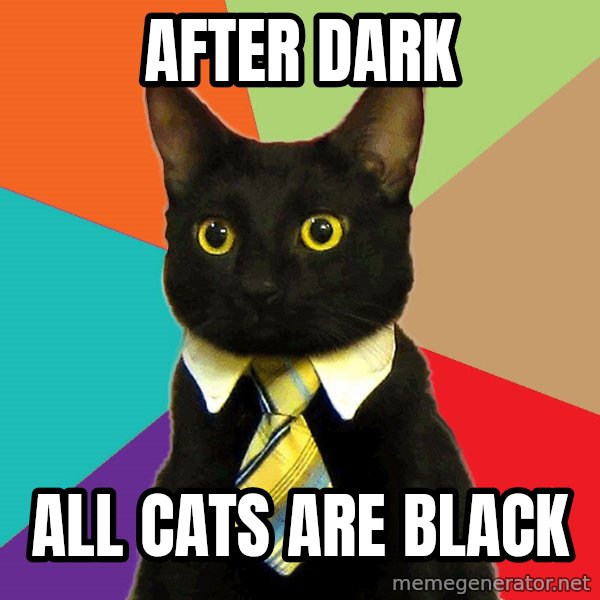 Business Cat meme: after dark / all cats are black
