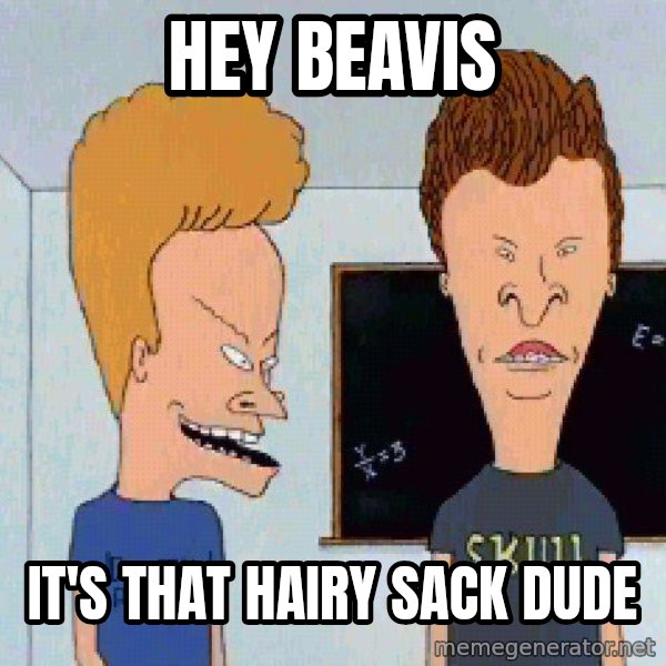 Beavis and butthead meme: HEY BEAVIS / IT'S THAT HAIRY SACK DUDE