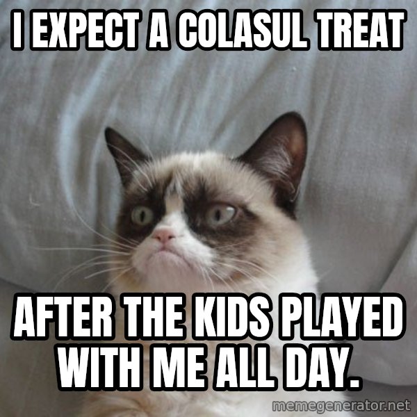 Grumpy cat good meme: I expect a colasul treat / after the kids played with me all day.