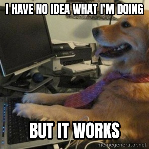 I have no idea what I'm doing - Dog with Tie meme: I have no idea what I'm doing / but it works