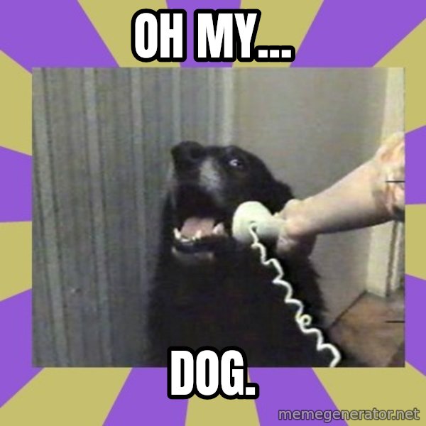 Yes, this is dog! meme: Oh my... / dog.