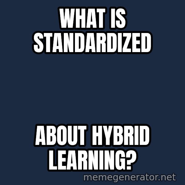 Disgusted Kristine Wiig meme: What is standardized / about hybrid learning?