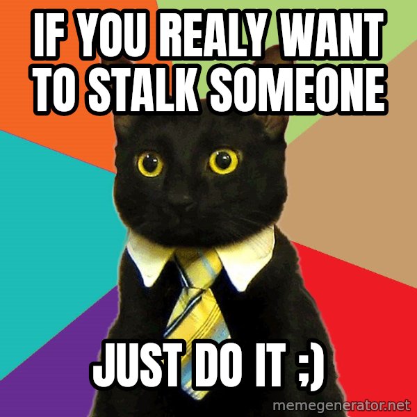 Business Cat meme: if you realy want to stalk someone / just do it ;)