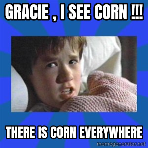 i see dead people meme: Gracie , I see Corn !!! / There is corn everywhere