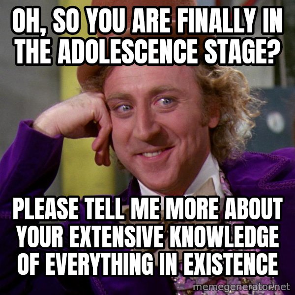 Willy Wonka meme: oh, so you are finally in the adolescence stage? / Please tell me more about your extensive knowledge of everything in existence