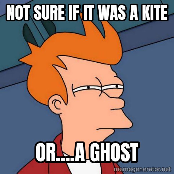 Futurama Fry meme: Not sure if it was a kite / Or....a ghost