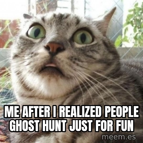 scared cat meme: Me after i realized people ghost hunt just for fun