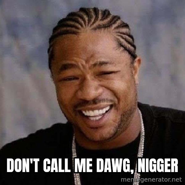 Yo Dawg meme: don't call me dawg, nigger
