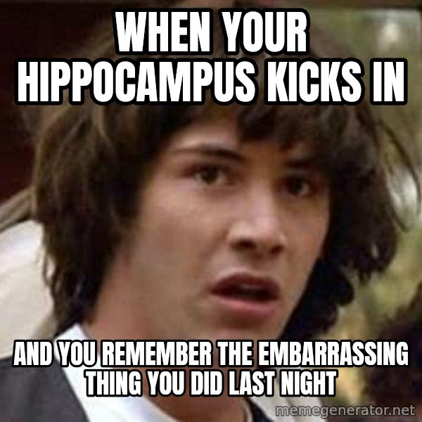 Conspiracy Keanu meme: When your Hippocampus kicks in / And you remember the embarrassing thing you did last night