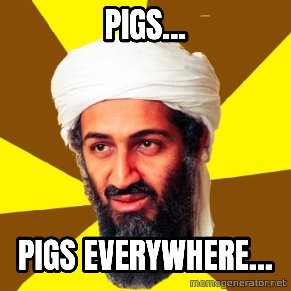 Osama meme: pigs... / pigs everywhere...