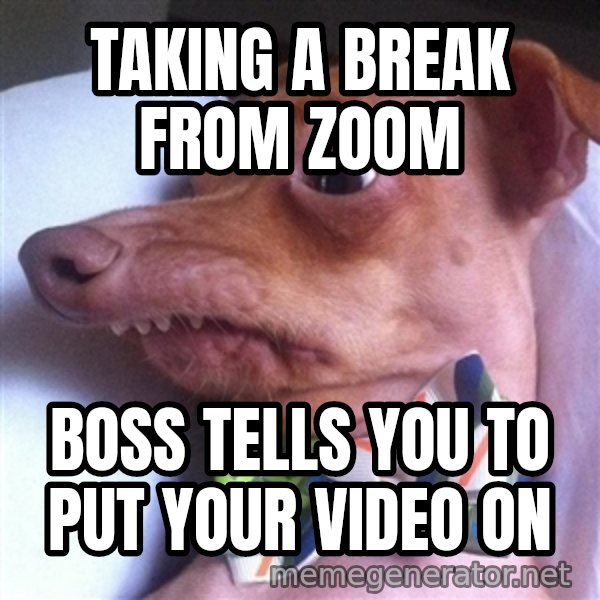 Tuna, the "Phteven" dog meme: taking a break from zoom / boss tells you to put your video on