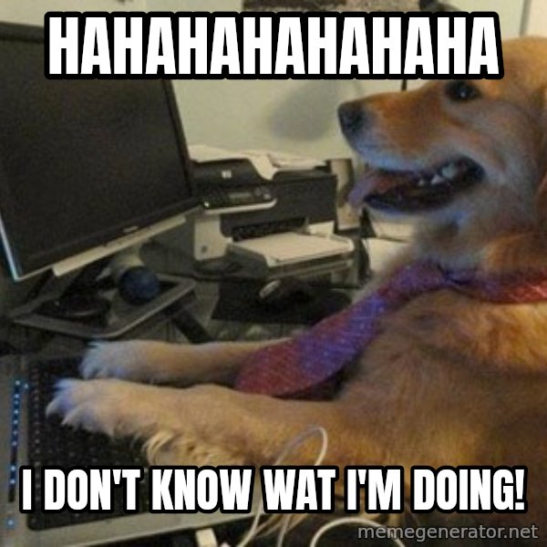 I have no idea what I'm doing - Dog with Tie meme: hahahahahahaha / I don't know wat I'm doing!