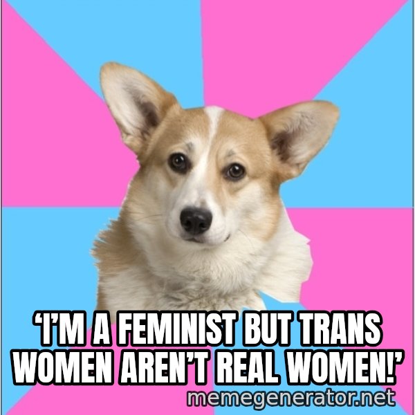 Critical Feminist Corgi meme: ‘I’m a feminist but trans women aren’t real women!’