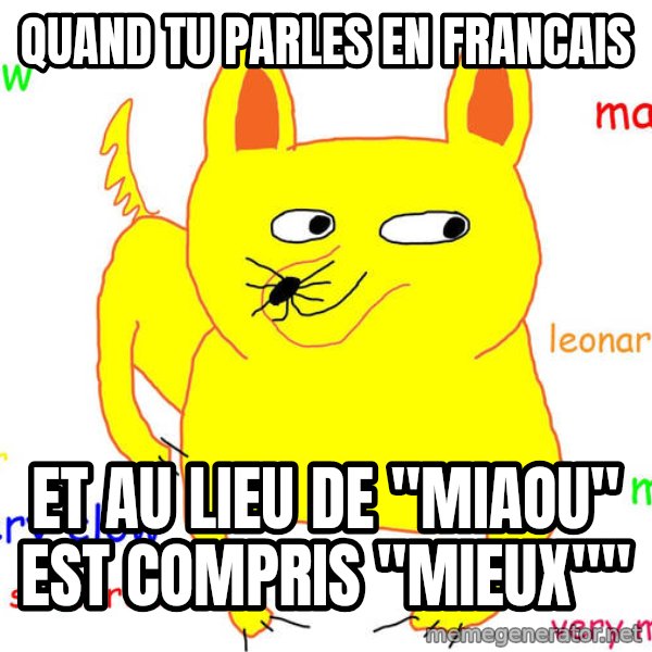 Grumpy Cat  meme: Quand tu parles en francais / Et au lieu de "miaou" est compris "mieux""