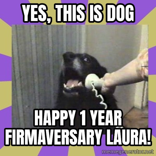 Yes, this is dog! meme: Yes, this is Dog / Happy 1 year Firmaversary Laura!