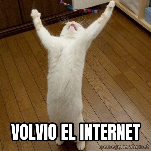 praise the lord cat meme: Volvio el internet